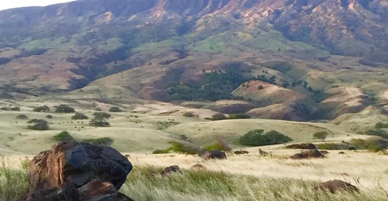 Hana Private Tour and Scenic Adventure