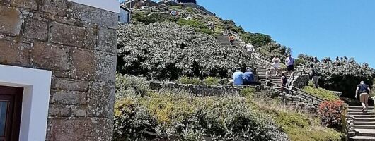 Full Day Cape Peninsula, Cape Point Tour