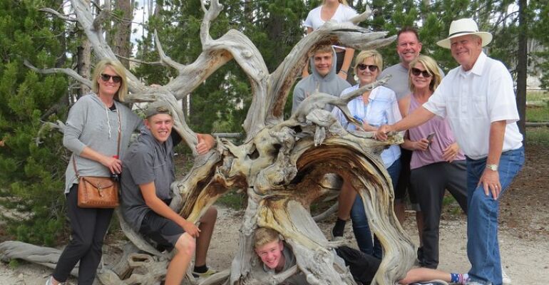 Yellowstone National Park Guided Wildlife Tour