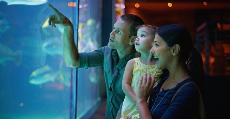 Cape Town Family Adventure Tour Experience