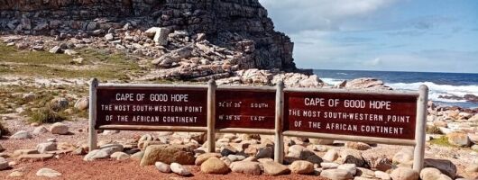  Cape of Good Hope & Penguins Boulder's Beach in Private Car 