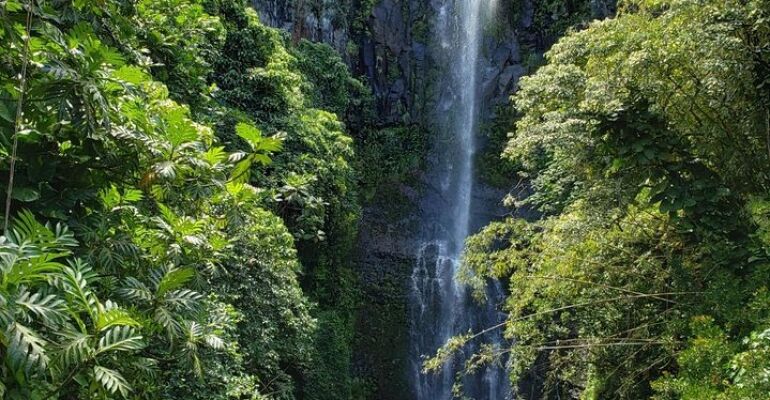 Hana Private Customizable Scenic Tour Experience