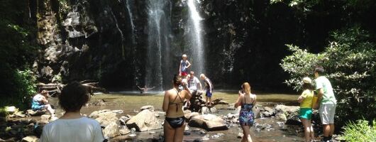Private Tour: Tropical Rainforest and Waterfalls Day Trip from Cairns