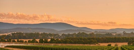 Yarra Valley Master Classes & 3 Course Champagne Lunch - Up to 6