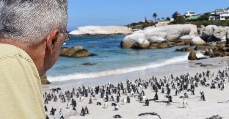 **Cape Town Immersive Dance and Stories Experience**