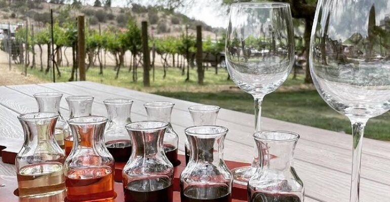 Sedona Desert Oasis Wine Tasting Tour