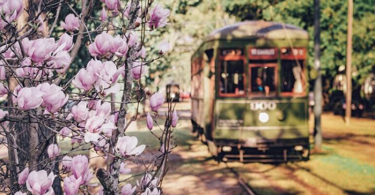 New Orleans Tailored Insider’s City Exploration Tour