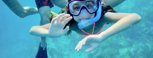 Private Looe Key Snorkel from Big Pine Key