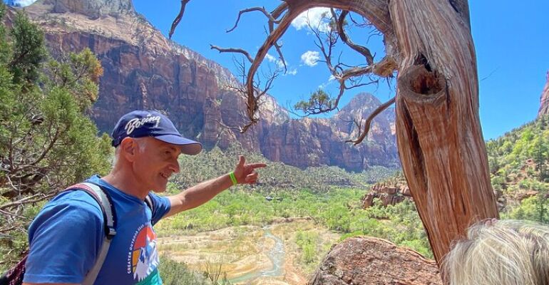 Las Vegas to Zion National Park Tour