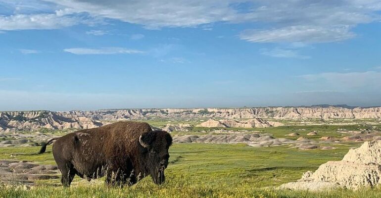 Badlands National Park Wildlife and History Tour