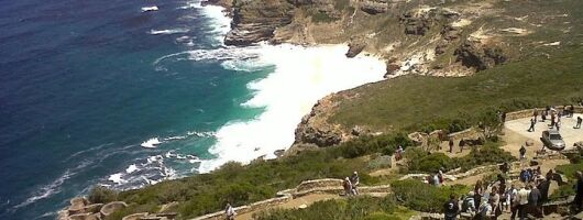 Private Tour with Wine Expert to Cape of Good Hope & Constantia Wine Region
