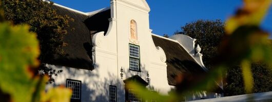 Cape Town Shore Excursion: Private Small Group Groot Constantia 