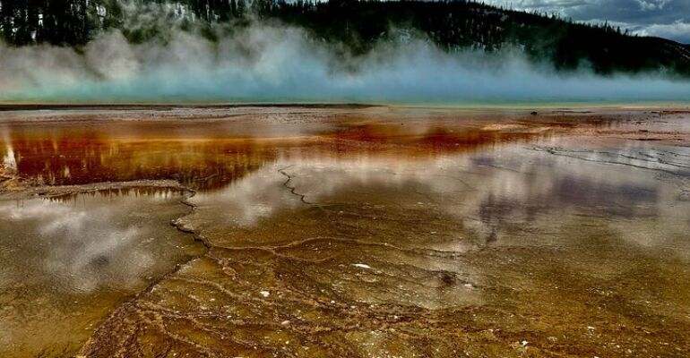 Wyoming Yellowstone Wildlife Photography Tour