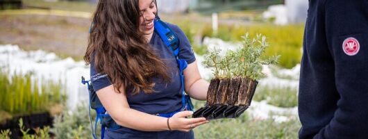 1 Hour Shared Tree Nursery Tour at Dundreggan