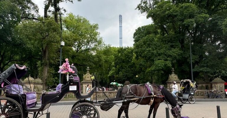 New York Central Park Private Carriage Ride Tour