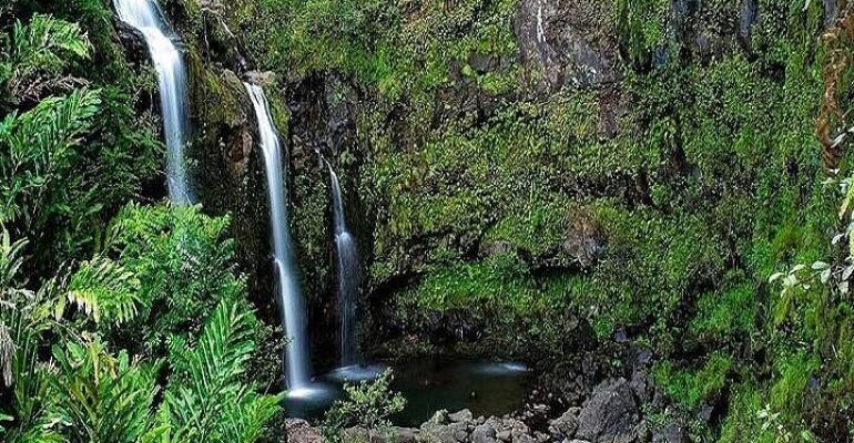 Hana Scenic Road Adventure and Cultural Experience