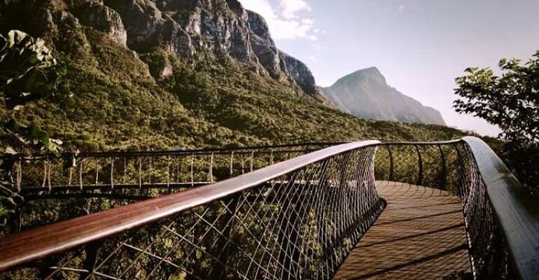 Cape Town Kirstenbosch and Wine Tasting Tour