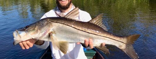 Everglades Fishing