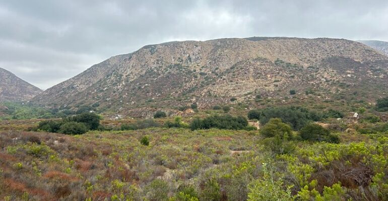 San Diego Nature Meditation and Hiking Tour