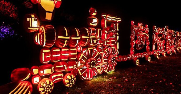 New York Great Jack O'Lantern Blaze Tour