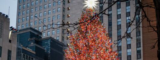 Home Alone Lost In New York Filming Locations with Private Guide