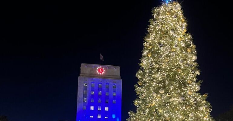 Houston Christmas Lights Guided Tour