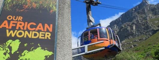 Table Mountain and Constantia Wine Tasting with Afrogem Tour