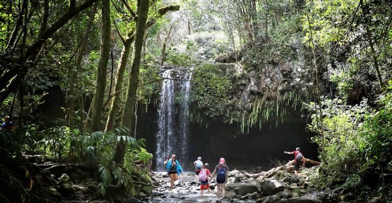 Hawaii Waterfalls and Rainforest Hiking Adventure