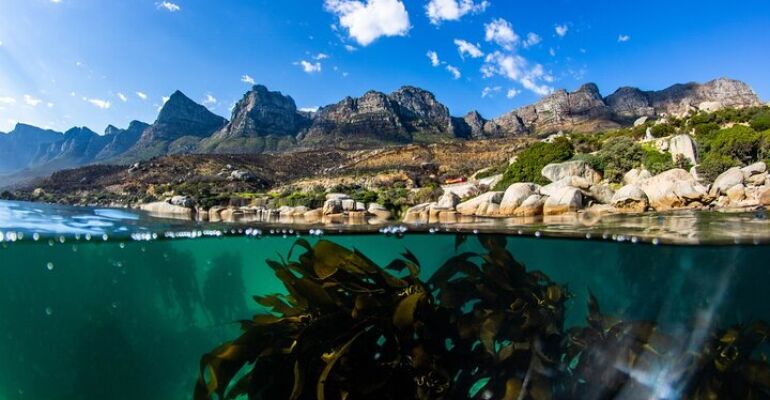 Cape Town Half-Day Snorkeling Adventure