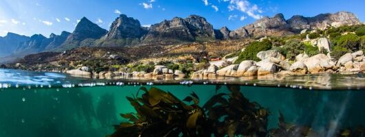 Great African Seaforest Snorkel