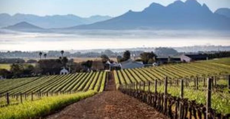 Durbanville Wine Valley Safari Tour Experience