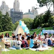 Central Park Luxury Picnic for 5 to 8 Person