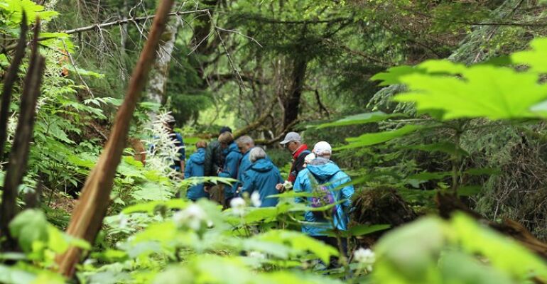 Haines Chilkat Lake Hiking Adventure Tour