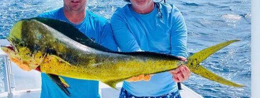 6 Hour Shared Deep Sea Fishing in Key West