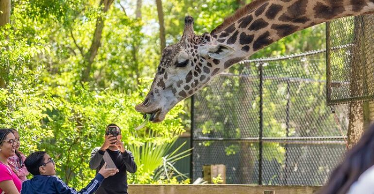 Central Florida Zoo and Botanical Gardens Admission