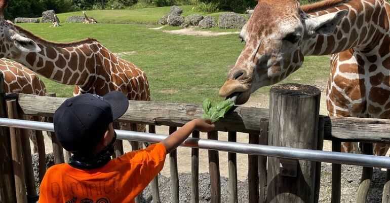 Miami Zoo Diverse Wildlife Experience