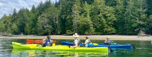 Guided Kayak Tour To Hope Island State Park