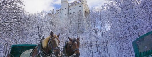 Neuschwanstein Castle & more - Private Tour from Munich