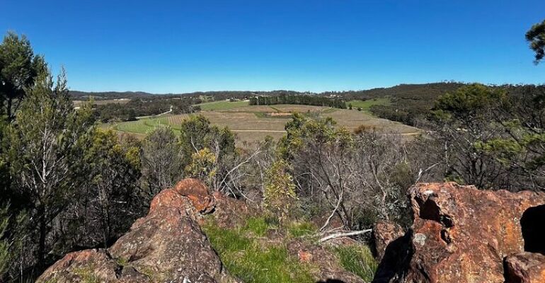 Adelaide Private Clare Valley Wine Tour
