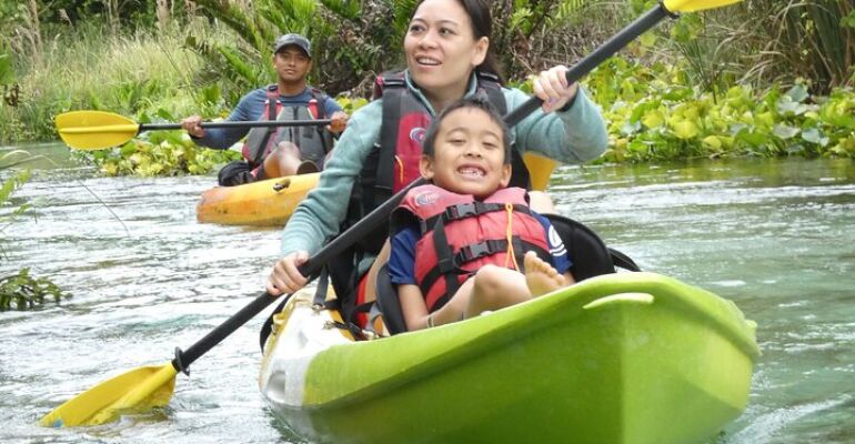 Apopka Guided Kayak Tour in Crystal Springs