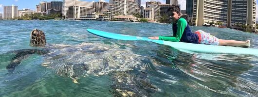 Private Surf Lessons in Waikiki