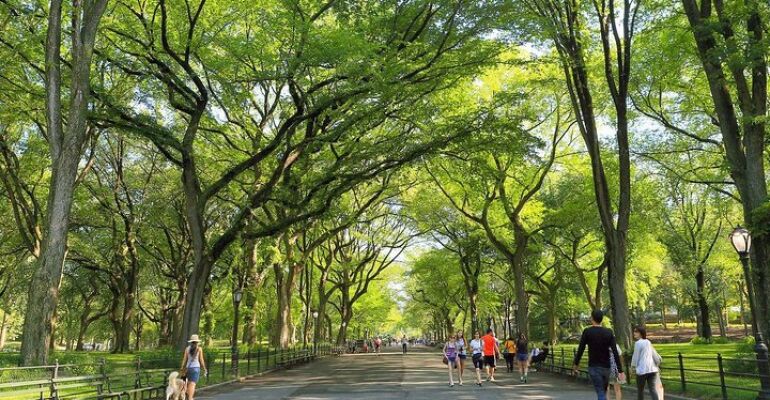 Central Park Highlights Walking Tour