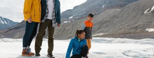 Columbia Icefield Parkway Peyto lake Bow lake Day Trip