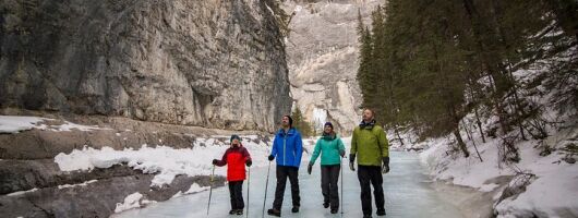 Grotto Canyon Icewalk