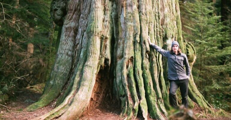 Vancouver Ancient Big Tree Walking Tour