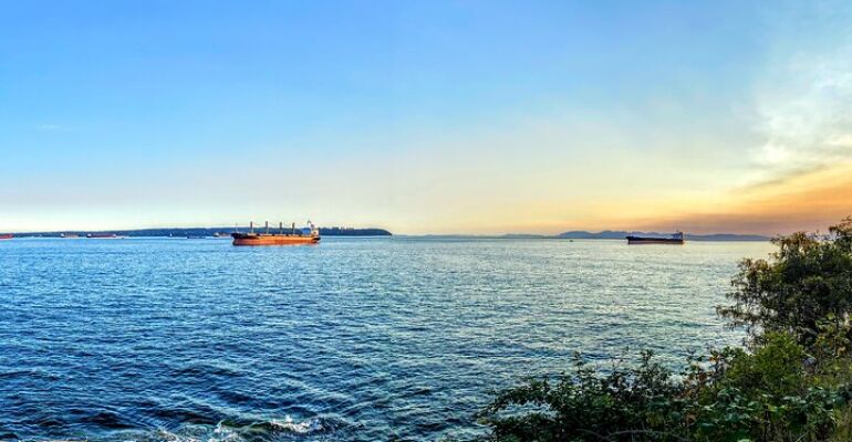 Vancouver Day Tour and City Exploration