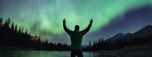 Wildlife Wild Skies: Jasper Planetarium Combo