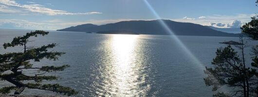 Lighthouse Park Hike 