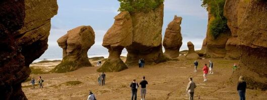 Hopewell Rocks Admission