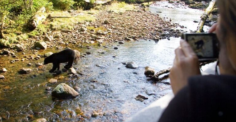 Canmore Hidden Trails Hiking Adventure